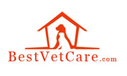 Best Vet Care