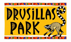 Drusillas 