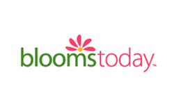 Blooms Today