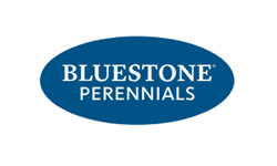 Bluestone Perennials
