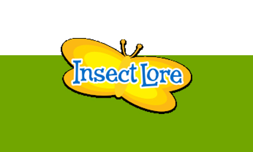 Insect Lore